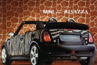MINI wears BISAZZA postcard (Zebra)